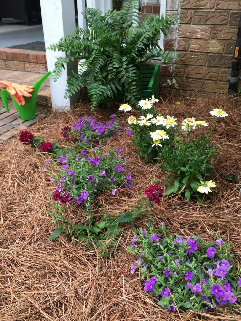 add straw or mulch to help control moisture in warm climates