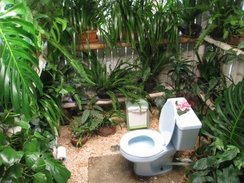tropical-bathroom-toilet