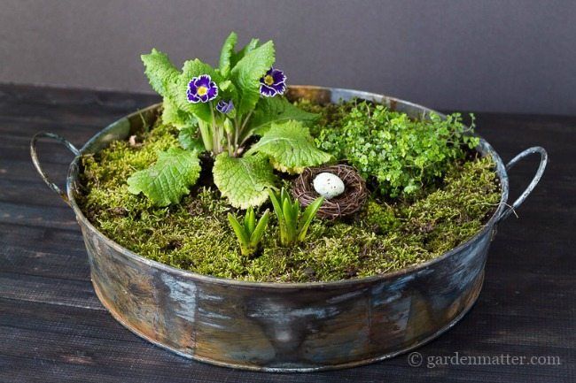 Garden Matter. Spring Centerpieces via Refresh Restyle