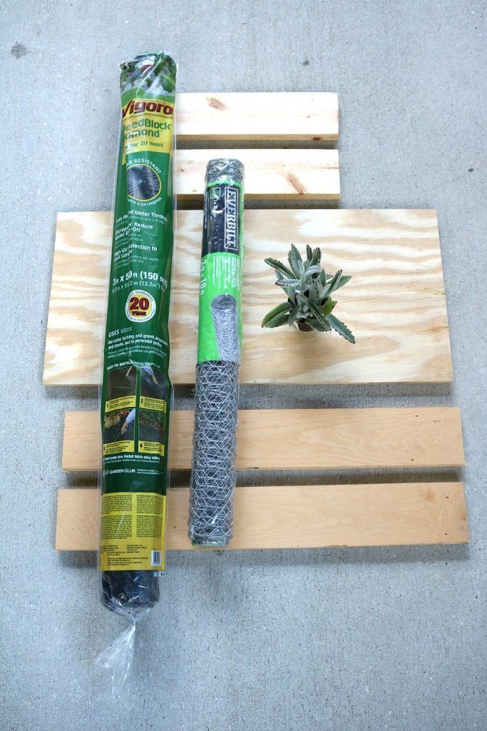 All the ingredients for building a hanging succulent garden