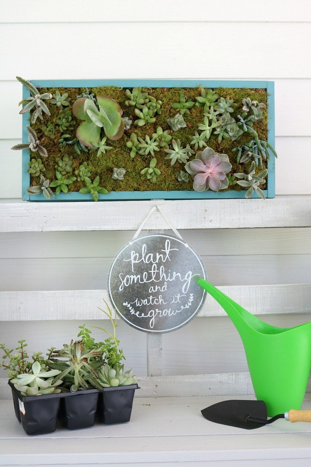 Make this DIY vertical succulent garden